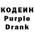 Кодеиновый сироп Lean Purple Drank Karina Benoevska