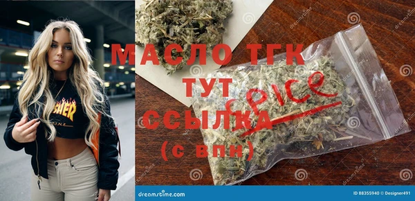 спиды Бородино